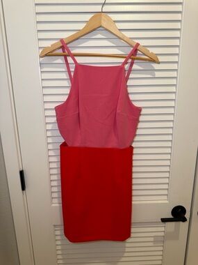 French Connection Pink and Red Two-Tone Spaghetti Strap Mini Dress